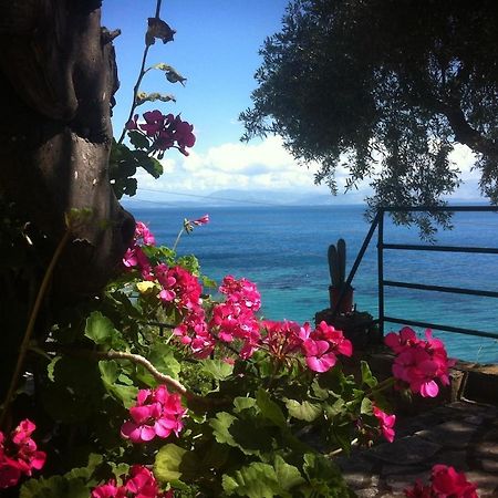 Villa Fourtuna Apartment Agios Ioannis Peristeron  ภายนอก รูปภาพ