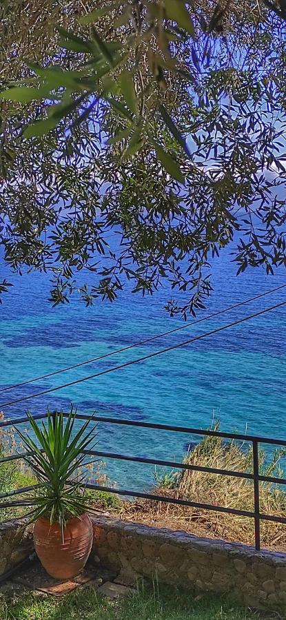Villa Fourtuna Apartment Agios Ioannis Peristeron  ภายนอก รูปภาพ