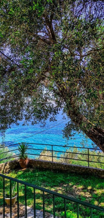 Villa Fourtuna Apartment Agios Ioannis Peristeron  ภายนอก รูปภาพ