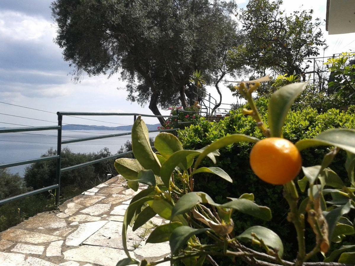 Villa Fourtuna Apartment Agios Ioannis Peristeron  ภายนอก รูปภาพ