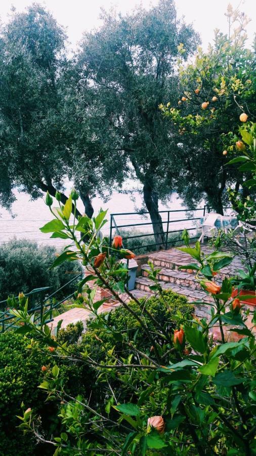 Villa Fourtuna Apartment Agios Ioannis Peristeron  ภายนอก รูปภาพ