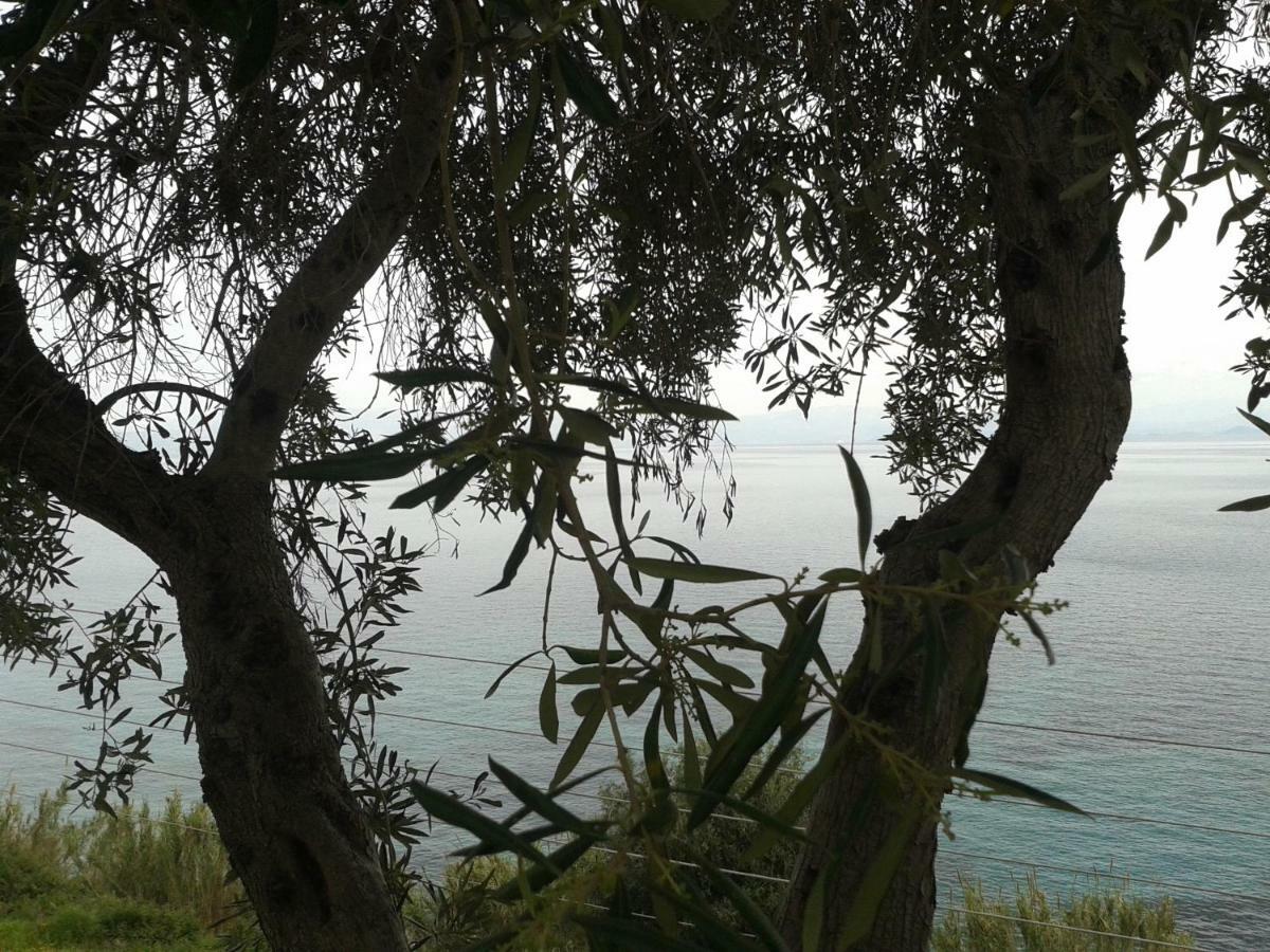 Villa Fourtuna Apartment Agios Ioannis Peristeron  ภายนอก รูปภาพ